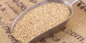Natural Sesame Seeds