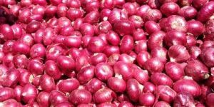 Fresh Red Onion