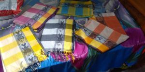 Handloom Soft Cotton Fish Border Saree