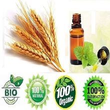 WHEATGERM OIL