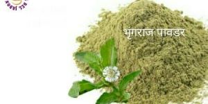 Bhringraj Powder