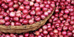 Fresh Red Onion