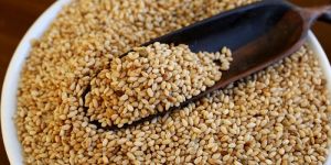Sesame Seeds