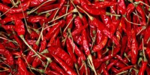 Dried Light Red Chilli