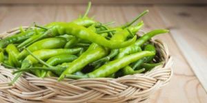 Fresh Green Chilli