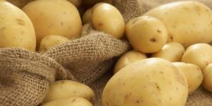 Fresh Potato