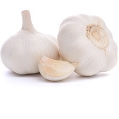 Fresh Garlic