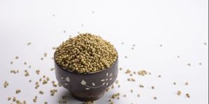 Coriander Seeds