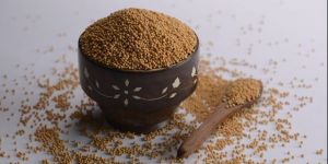 Yellow Mustard Seeds