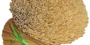 Round Incense Bamboo Stick