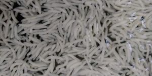 Rice Basmati,Non-Basmati,IR 64 Parboiled 5% broken