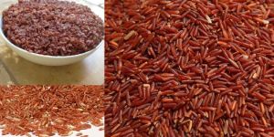 Red Rice