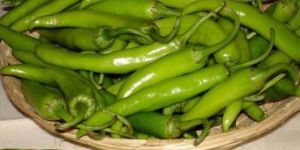 Fresh Green Chilli