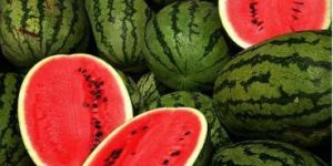 Fresh Watermelon