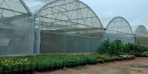 Polyhouse Fabrication Services