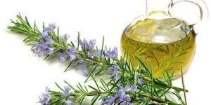 Rosemary Oil