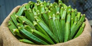 Fresh Okra