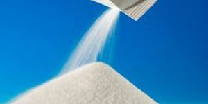 Probiotic Strains Powder