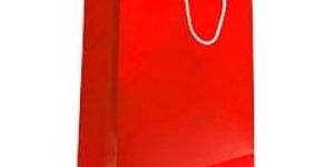 Kraft Paper Shopping Bags