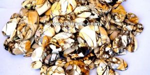 Brecciated Mookaite Jasper