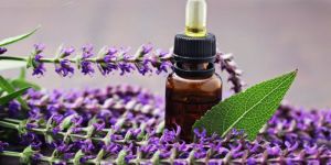 Clary Sage Essential Oil