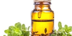 Marjoram Essential Oil