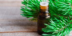 Pine Needle Essential Oil