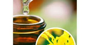 Witch Hazel Extract