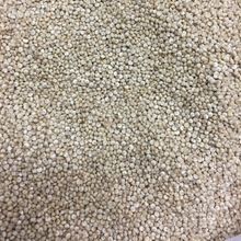 Quinoa Grain
