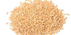 Sesame Seeds