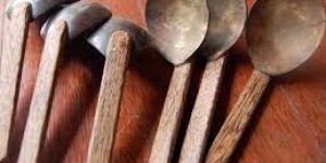 Coconut Shell Spoon
