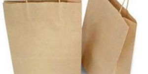 Paper Carry Bag