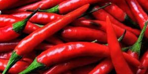 Fresh Red Chilli