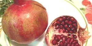 Punica Granatum