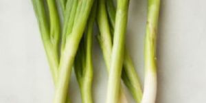 Fresh Green Onion