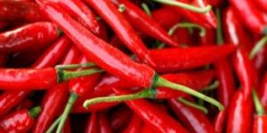 Fresh Red Chilli
