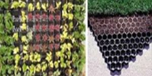 Drain Cells