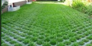 Grass Pavers