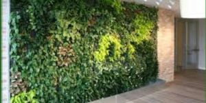 Green Wall Installation Services