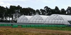 Greenhouse Services