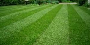 Landscaping Services