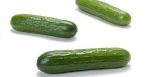 Rz F1 Multistar Cucumber