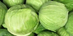 Fresh Cabbage