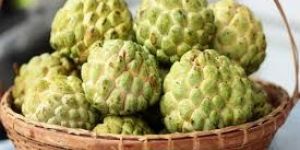Fresh Custard Apple