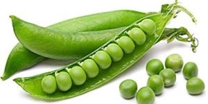 Fresh Green Pea