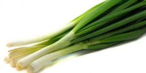 Fresh Green Shallots