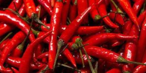 Fresh Red Chilli