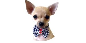Dog Bow Tie