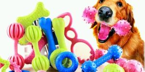 Dog Toys