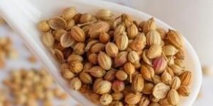 Coriander Seeds